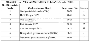 Çözger Raporu Nedir